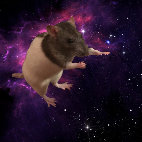 Open to offers! - Picture 1 of 1